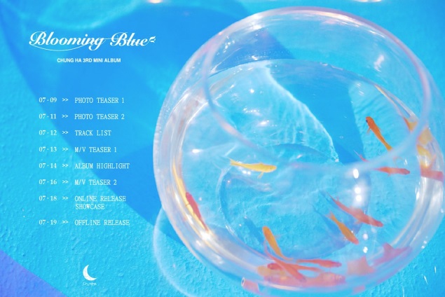 kimchunghaschedule 1.jpg