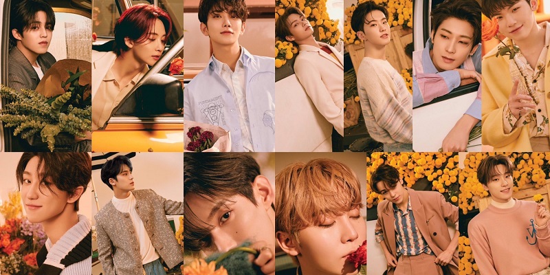 seveneen your choice album.jpg