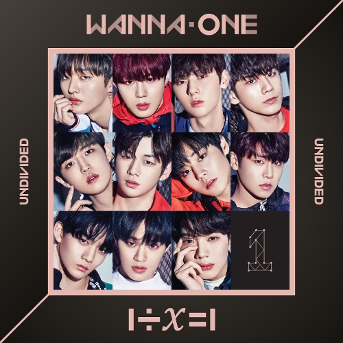 wannaoneundivided 1.jpg